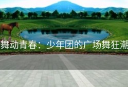 舞动青春：少年团的广场舞狂潮