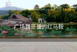 广场舞哥哥的红马鞍