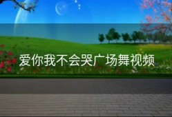 爱你我不会哭广场舞视频