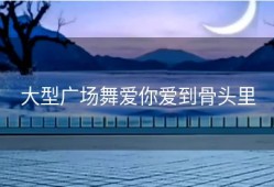大型广场舞爱你爱到骨头里