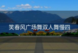 笑春风广场舞双人舞慢四