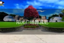 阳光广场舞减肥