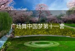 广场舞中国梦第十一套