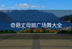 奇葩丈母娘广场舞大全