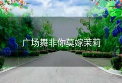 广场舞非你莫嫁茉莉