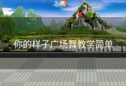 你的样子广场舞教学简单