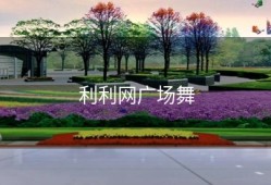 利利网广场舞