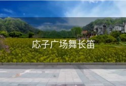 応子广场舞长笛