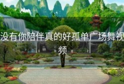 没有你陪伴真的好孤单广场舞视频