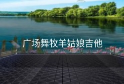 广场舞牧羊姑娘吉他