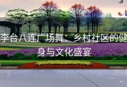 李台八连广场舞：乡村社区的健身与文化盛宴