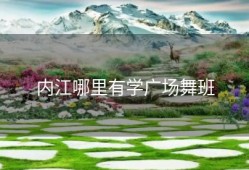 内江哪里有学广场舞班