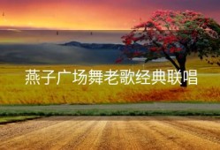 燕子广场舞老歌经典联唱