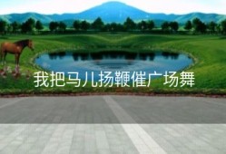 我把马儿扬鞭催广场舞