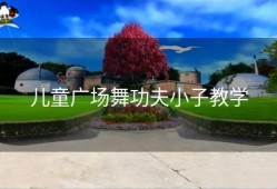 儿童广场舞功夫小子教学