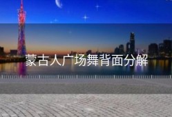 蒙古人广场舞背面分解