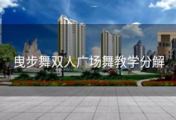 曳步舞双人广场舞教学分解