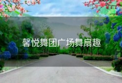 馨悦舞团广场舞扇趣