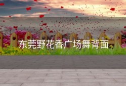 东莞野花香广场舞背面