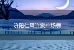 济阳仁风许家广场舞