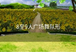 8至9人广场舞队形