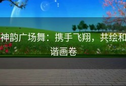 神韵广场舞：携手飞翔，共绘和谐画卷
