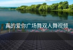 真的爱你广场舞双人舞视频