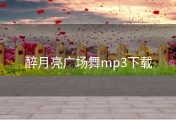 醉月亮广场舞mp3下载