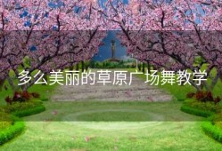 多么美丽的草原广场舞教学