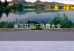 米兰花园广场舞大全