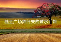 糖豆广场舞纤夫的爱水兵舞