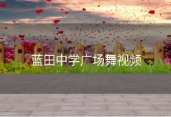 蓝田中学广场舞视频