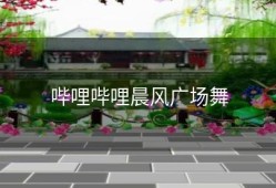 哔哩哔哩晨风广场舞