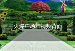 火爆广场舞视频背面