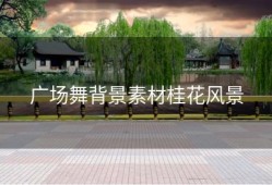 广场舞背景素材桂花风景