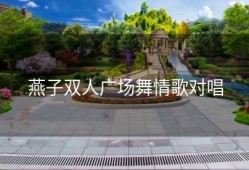 燕子双人广场舞情歌对唱