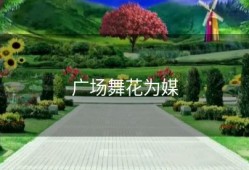 广场舞花为媒