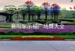 襄阳家乐福广场舞大全