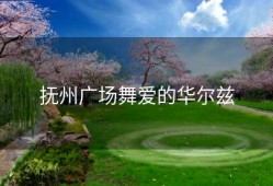 抚州广场舞爱的华尔兹