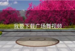我要下载广场舞视频