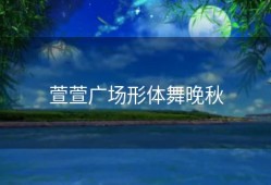 萱萱广场形体舞晚秋