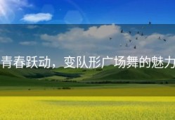 青春跃动，变队形广场舞的魅力