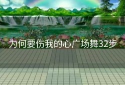 为何要伤我的心广场舞32步