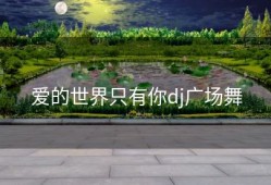 爱的世界只有你dj广场舞