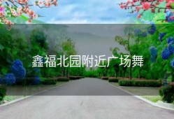 鑫福北园附近广场舞