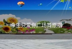 今生只爱你广场舞原唱
