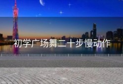 初学广场舞二十步慢动作