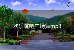 欢乐跳吧广场舞mp3