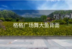 格格广场舞大鱼背面