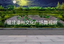 福建漳州文化广场舞视频
